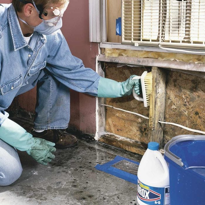 How to Test for Mold in the Home